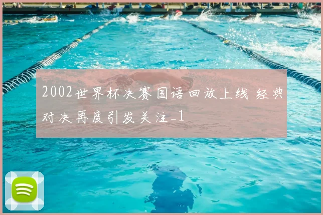 2002世界杯决赛国语回放上线 经典对决再度引发关注_1