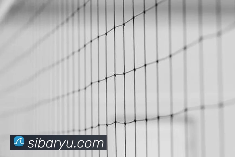 米兰体育在线登录平台生态图